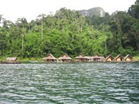 The rafthouse is a row of simple bamboo huts floating on the lake, nestled  in the jungle between the limestone karsts.