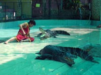 Crocodile show at Phuket Zoo