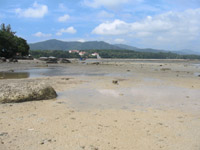 When the tide is out you can see the mudbanks and exposed rocks of Chalong Bay
